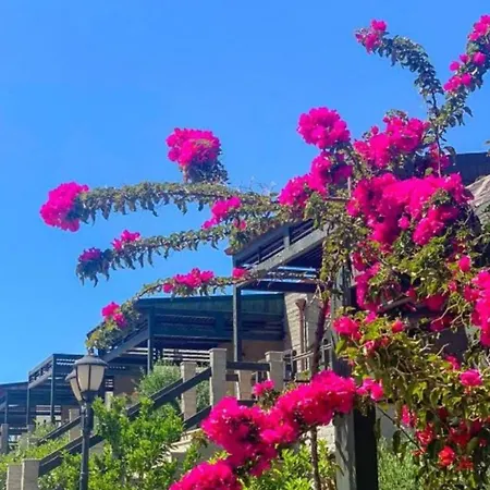 Santa Maria Apartment *