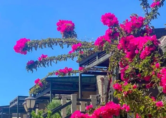 Santa Maria Lejlighed *